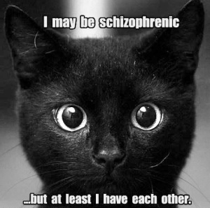 funny-pictures-i-may-be-schizophrenic-cat